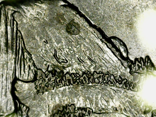 2005--P-California-Quarter-Die-Chip